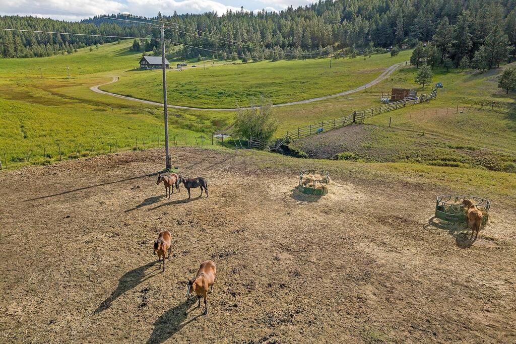 Wilderness Cabin - Eden Valley Oroville 外观 照片